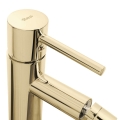 NOWOCZESNA-BATERIA-BIDETOWA-ZLOTA-TESS-LOW-GOLD-Kod-producenta-REA-B8807.jpg