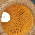 44c6694aa5404baccbf13a65d24b7614