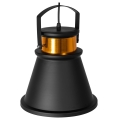 LAMPA-WISZACA-EDISON-LOFT-INDUSTRIAL-ASTI-AA-ZLOTA-Rodzaj-lampy-Sufitowe-wiszace.jpg