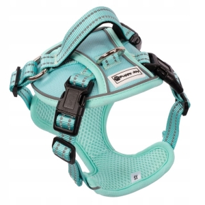 Szelki ze smyczą PJ049 miętowy dla psa 48-63 cm regulowane XS
