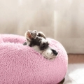 a5805c6d0de484f5dddd23e66cd8583a.jpg
