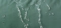 f183495c0cff01e9b4a24d888b54afde.jpg