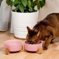 PODWOJNA-MISKA-CERAMICZNA-MISKI-DLA-PSA-I-KOTA-MISKI-NA-STOJAKU-Marka-PuppyJoy.jpg