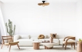 b19bed60f45cee11dca020a759a2665f.jpg
